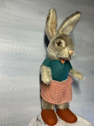 RARE Vintage German STEIFF Dressed Girl Bunny Easter Rabbit “Nikili” 1945 - 1952 3
