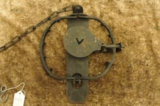 14 Oc Victor Antique Trap With Teeth Newhouse Coyote Beaver Wolf Lion Y47