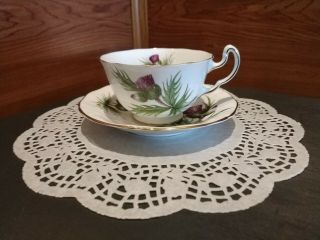 Vintage Adderly " Thistle " Bone China Tea Cup & Saucer Set Made In England