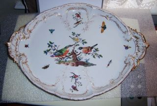 Antique Kpm Porcelain 16 1/2 In Oval Serving Tray Platter Berlin Germany Birds
