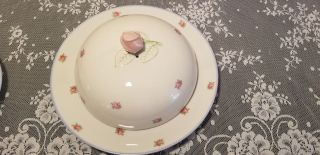 Richard Ginori China Pink Roses with Blue Rim Antique China Dinnerware Feminine 5