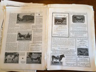 ANTIQUE COUNTRY LIFE MAGAZINES UNBINDED JUNE 1923,  JULY 1928,  NOVEMBER 1926 5