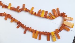NATURAL OLD ANTIQUE BUTTERSCOTCH EGG YOLK BALTIC AMBER NECKLACE 41,  87 grams. 5