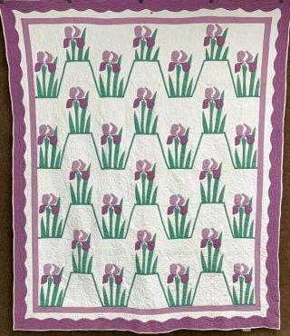 Cottage Vintage C 30s Iris Applique Quilt Purple