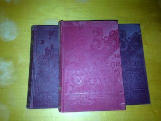 Antique Book Set: Elsie ' s Young Folks 1900 5