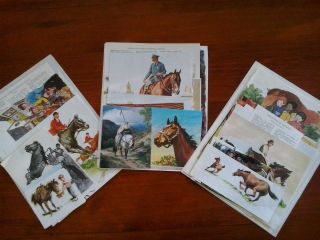 Vintage Paper Horse Pony Equestrian Animals Theme For Art Craft Journals Cards