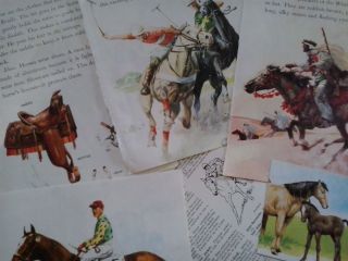 Vintage paper horse pony equestrian animals theme for art craft journals cards 3
