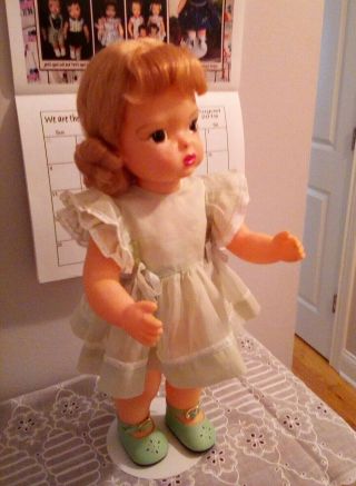 Vintage Terri Lee in tagged organdy dress and teddy shoes,  anklets,  bows 8