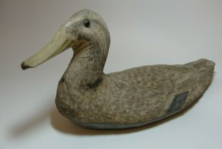 Vintage Canvas Duck Decoy With Glass Eyes,