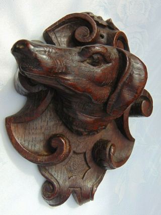 ANTIQUE FRENCH BLACK FOREST HAND CARVED WOODEN DECORATIVE DOG HEAD PLAQUE 3