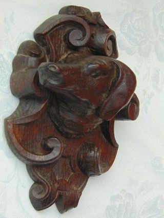 ANTIQUE FRENCH BLACK FOREST HAND CARVED WOODEN DECORATIVE DOG HEAD PLAQUE 4