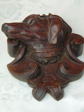 ANTIQUE FRENCH BLACK FOREST HAND CARVED WOODEN DECORATIVE DOG HEAD PLAQUE 5