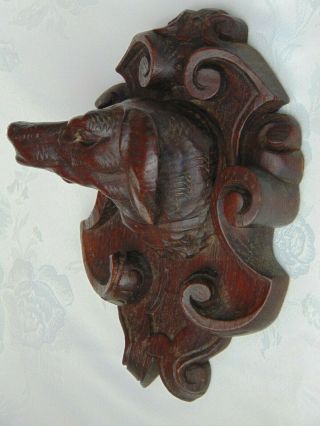 ANTIQUE FRENCH BLACK FOREST HAND CARVED WOODEN DECORATIVE DOG HEAD PLAQUE 6
