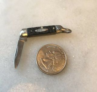 Vintage A W Wadsworth & Son Scout Mini Pocket Knife Germany Bone Handle 1 1/2 In