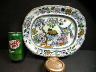 Antique Turkey Platter Ashworth Bros England Formosa Pattern With Birds C