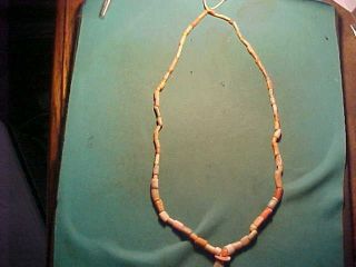 String Of Roman/egypt Coral Beads Circa 1st - 4th Century Ad.