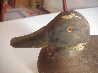Antique 19th Century BARNEGAT BAY DUCK DECOY with DOVETAIL INLAID WEIGHT 3
