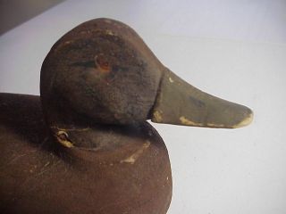 Antique 19th Century BARNEGAT BAY DUCK DECOY with DOVETAIL INLAID WEIGHT 4