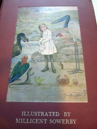 Antique 1908 ALICE ' S ADVENTURES IN WONDERLAND Millicent Sowerby Lewis Carroll 2