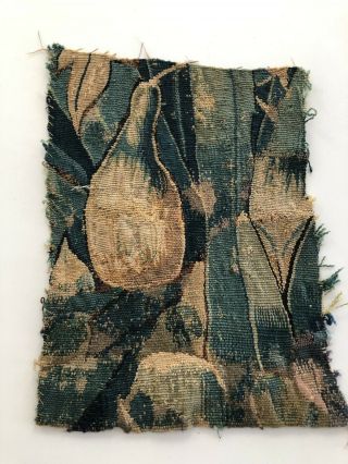 Great 9.  5” X 13” 17th/18th Century Verdure Tapestry Fragment