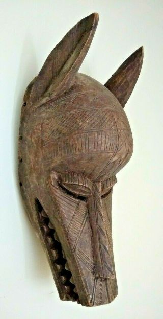 Large African Bamana Hyena Mask - Mali - 50 - 60 Years Old