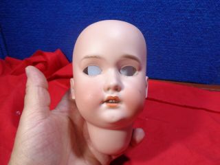 Antique Bisque Doll Head.  A - 3
