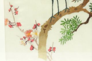 Chinese Japanese Silk Embroidery picture Red Crowned Cranes Birds Oriental Art 5