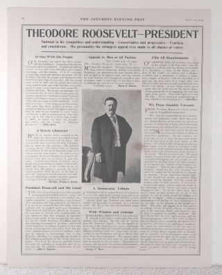 Antique Theodore Roosevelt President Campaign 1904 Photo Print Article - Art