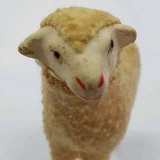Antique Vintage Putz Germany 3.  5” Stick Leg Wool Sheep Lamb Christmas Nativity