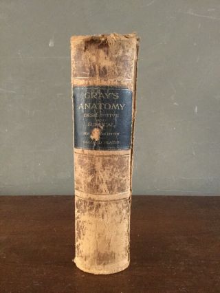 Antique 1897 Gray’s Anatomy Descriptive And Surgical Illustrated Medical Plates