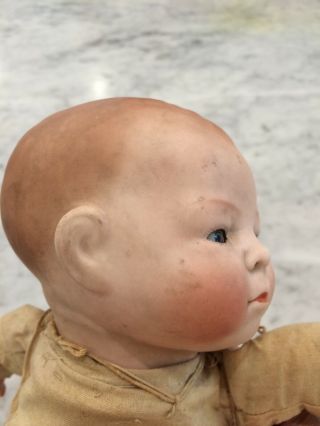 Vintage Porcelain Head and Cloth Body Baby Doll - 12 Inch 8
