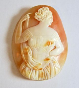 Large Antique Victorian Hand Carved Loose Shell Cameo Woman In Corset Dress