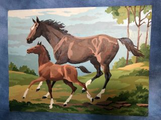 Vintage 16 " Horse And Foal Paint By Number Picture,  Mid Century Kitsch Art
