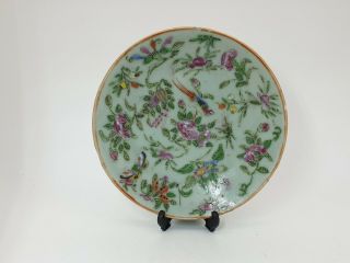 19th Century Chinese Famille Rose Celadon Marked Canton Ware Plate
