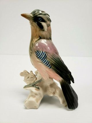 Rare Eurasian Jay 7098 Vintage Karl Ens Porcelain Germany Bird Figurine
