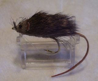 Unknown Hair Mouse Lure Fly Weedless Brown 04/29/19