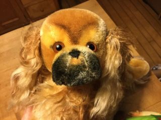 Antique Vintage Steiff Peky Pekingese Dog Mohair 9” Swivel Head,  W/ No Id Tlc