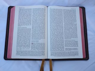 Schuyler Quentel Bible - NASB Antique Marble Brown - 4