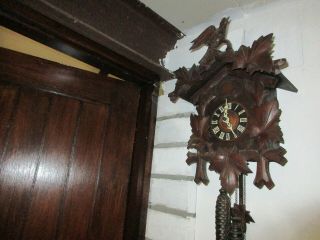 19 " Black Forest Or Cuckoo Clock Complete