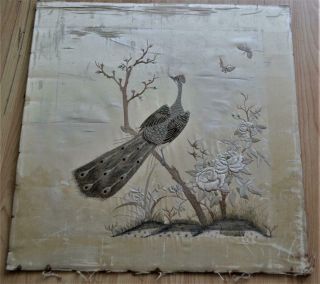 Antique Chinese / Indian Silk Peacock Embroidery Design On Ply Panel 56 X 56 Cm