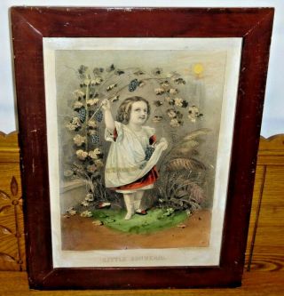 Framed Antique Currier & Ives Lithograph - The Hundred Leaf Rose