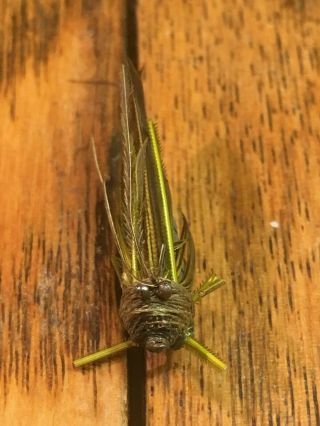 Vintage,  antique Rhead cricket fly bait lure - - - 3