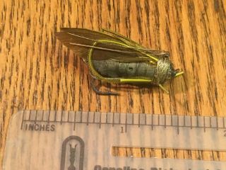 Vintage,  antique Rhead cricket fly bait lure - - - 6