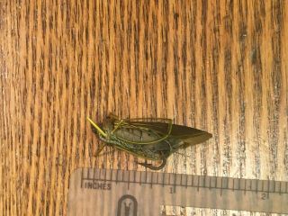 Vintage,  antique Rhead cricket fly bait lure - - - 7