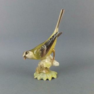 Antique Porcelain German Figurine Of Bird By Hutschenreuther