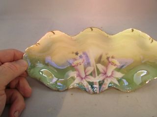Antique Bavaria Luster Ware Flower Porcelain Tidbit Candy Nut Dish Hand Painted