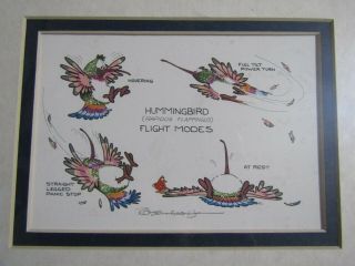Vintage Robert Marble Hummingbird Cartoon Drawing Matted Pencil Signed Art Print