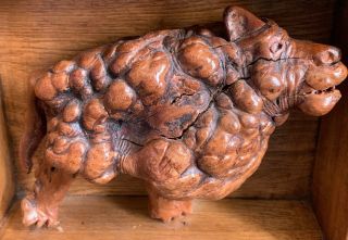 Hand Carved Burl Wood Sheep Buffalo Lion Dog Figure Sculpture Primitive Folk Art