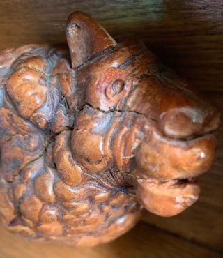 Hand Carved Burl Wood Sheep Buffalo Lion Dog Figure Sculpture Primitive Folk Art 3