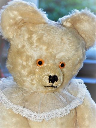 White Diem Teddy Bear - 24 Inch - From 1930/40